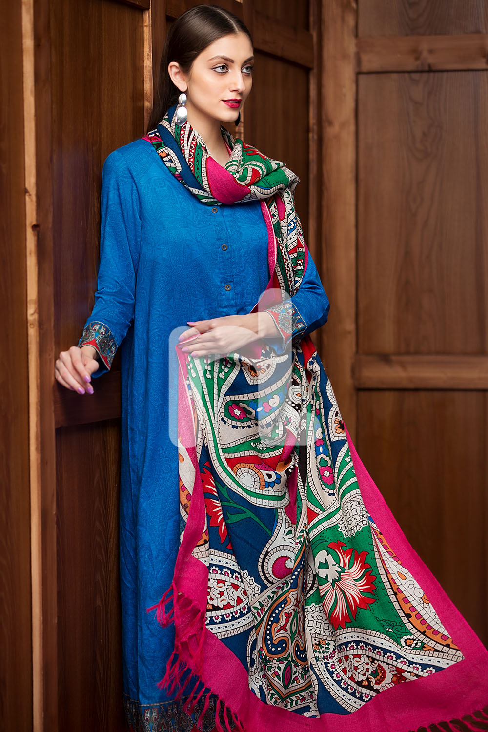 Printed Unstitched 3 Piece Karandi Pakistani Dress On A Discount Price For Shopping Online By Nishat Linen Winter Collection 2019
