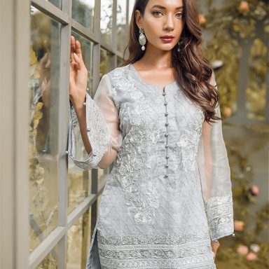 khadi net dress