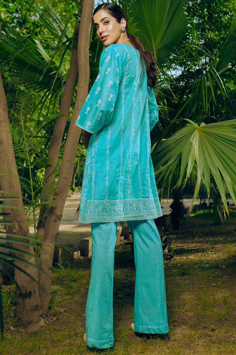 pakistani chicken dress