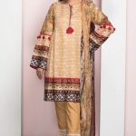 Elegant and ravishing Pakistani dress online by Warda in peachElegant and ravishing Pakistani dress online by Warda in peach